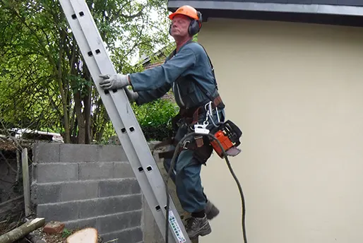 Elagage - Entreprise Eric VALLETTE