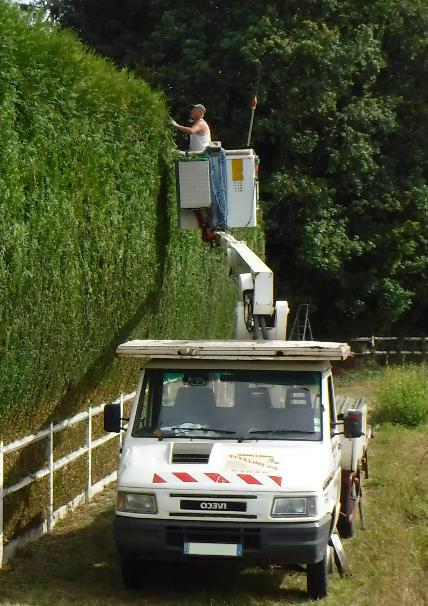 Taillage Haies - Entreprise Eric VALLETTE