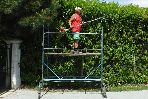 Taillage Haies - Entreprise Eric VALLETTE